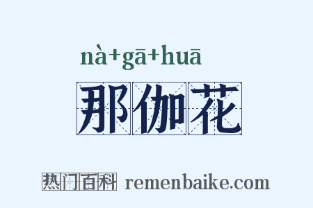 那伽花是什么意思的图片